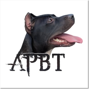 American Pit Bull Terrier Posters and Art
